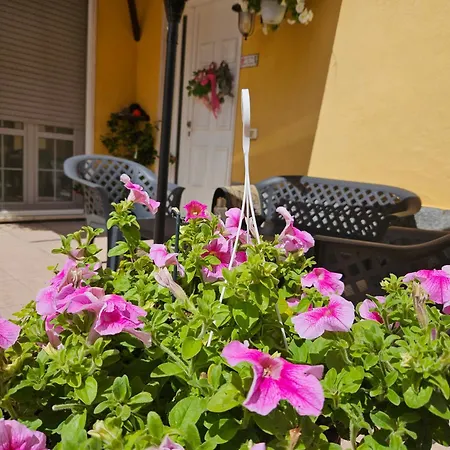Il Pepe Rosa Di Anna E Silvano Nyaraló