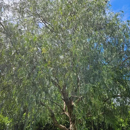 Il Pepe Rosa Di Anna E Silvano בית נופש *